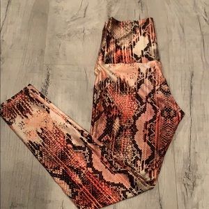 Emily Hsu Snake Print Legging in Coral